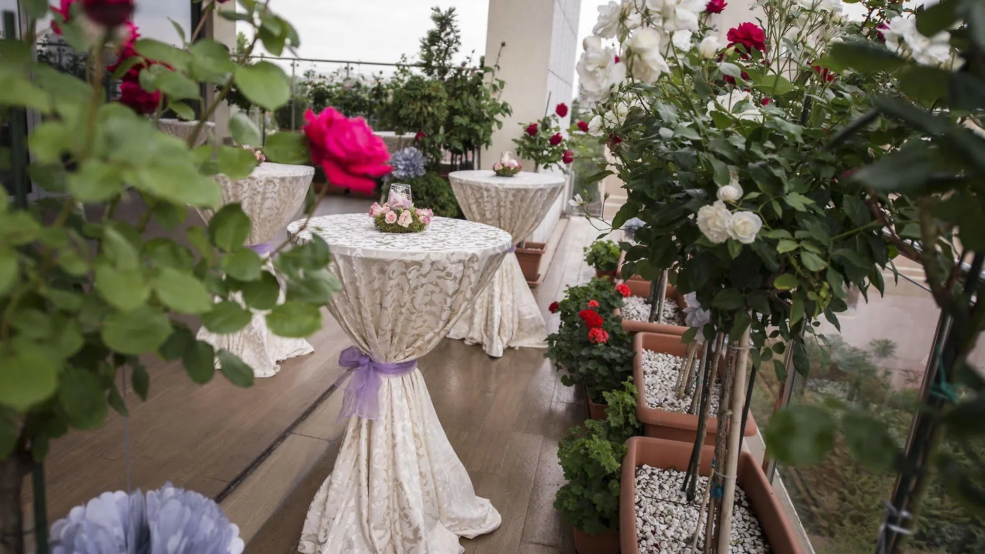 Marshal Garden Hotel Bucareste